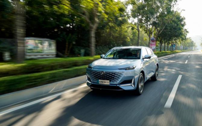 101634459165f06f573356.jpg image003.jpg