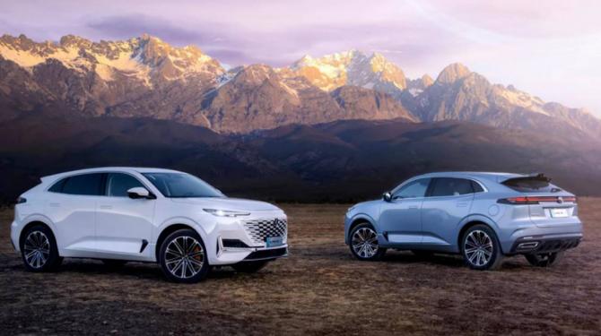 101634503776bbccf22808.jpg image001.jpg