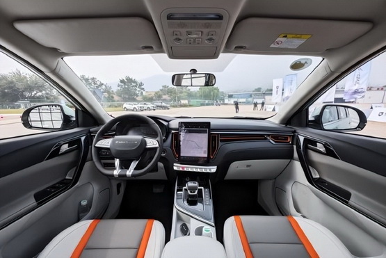 231434000f8ec009ed6242.jpg 2.jpg