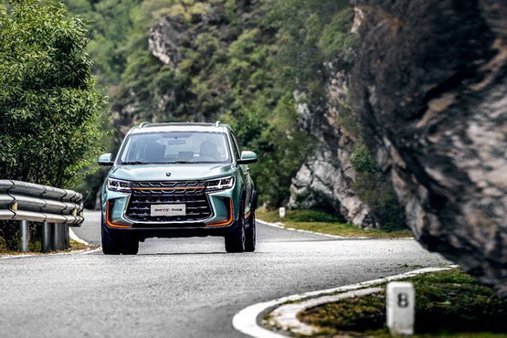 2314335234cb73d5431198.jpg 1.jpg