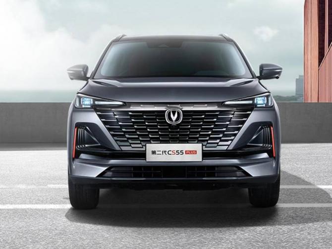 081942518bf2237ee72341.jpg image003.jpg