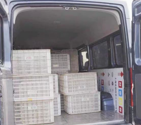 2816302484ef46e5299176.jpg image004.jpg