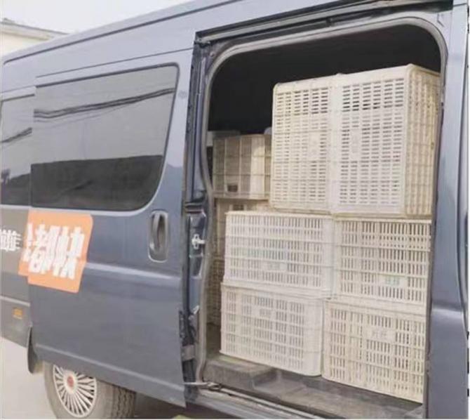 281630260ec26abd918948.jpg image003.jpg