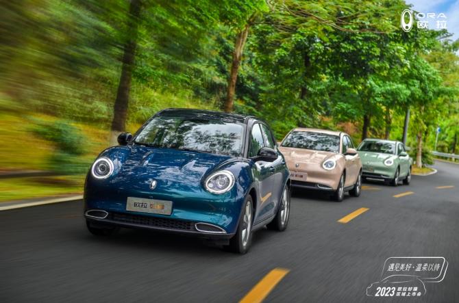 28174549717366e7308075.jpg image005.jpg