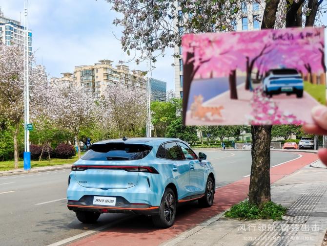 081312404762503bf35466.jpg image002.jpg