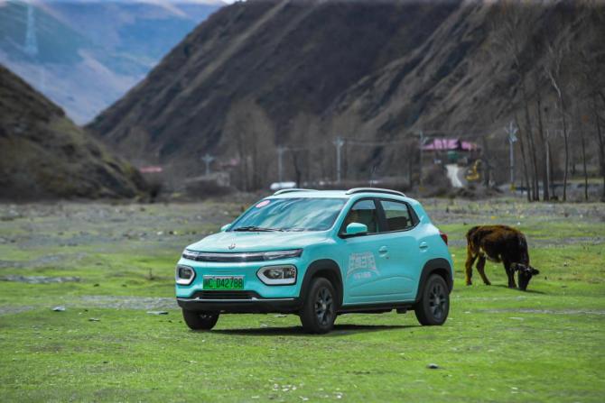 13093028715eda07431728.jpg image005.jpg