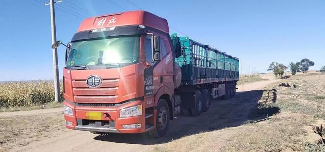 141529353699bc47147634.jpg image001.jpg