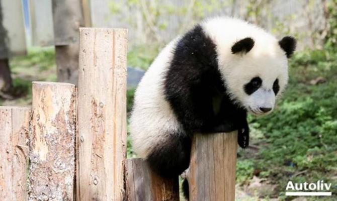 26172637177d10c8cc9016.jpg image003.jpg