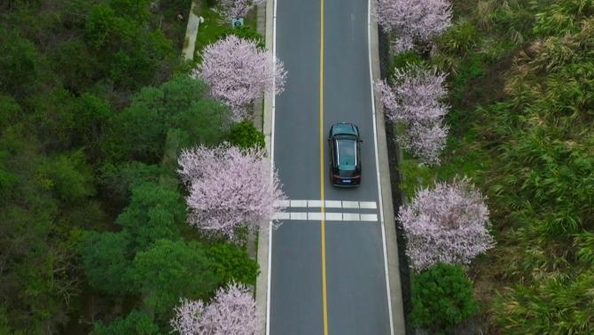 28142013de7d3b1af21035.jpg image006.jpg