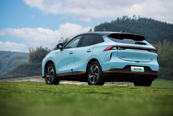 12143954ced11acbe03803.jpg image005.jpg