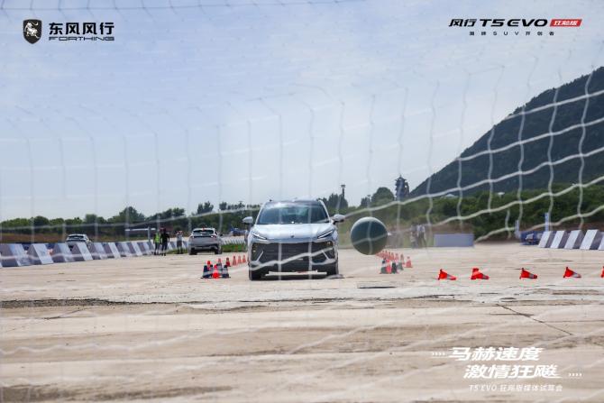 20154524e05195da994515.jpg image008.jpg