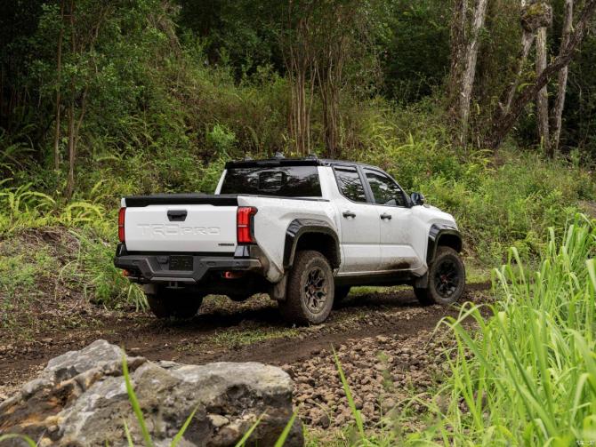 2008533039836032538540.jpg image004.jpg