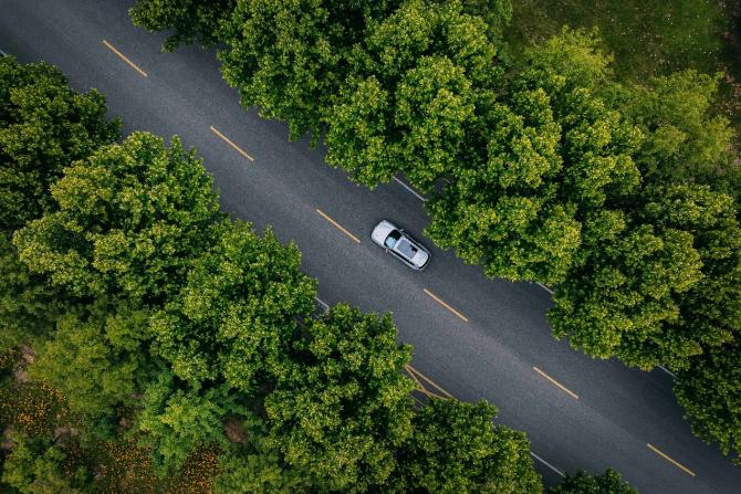 30113008d58329c41c6009.jpg image005.jpg