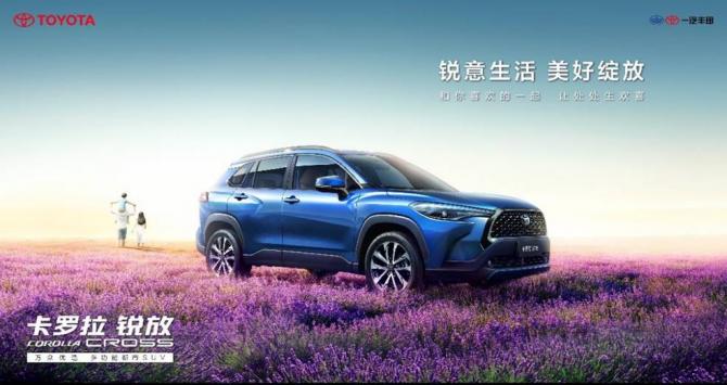 251733148bc2a89db60497.jpg image002.jpg