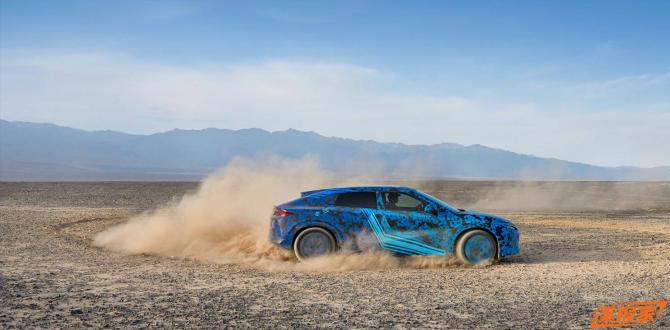 310847167c7345566d6535.jpg image004.jpg