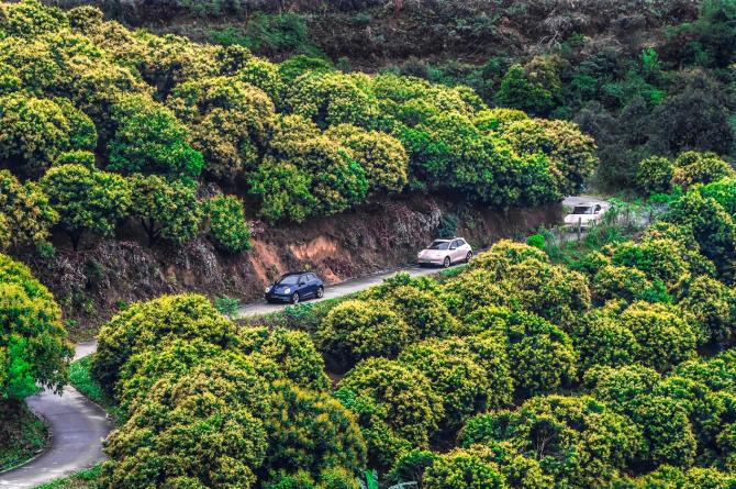 011551270831ad09068144.jpg image006.jpg