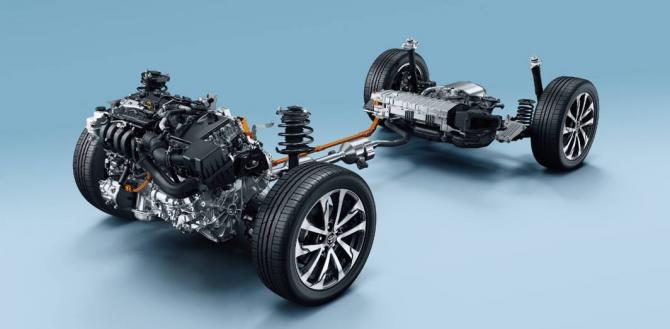 07085543cfab5343b34047.jpg image003.jpg