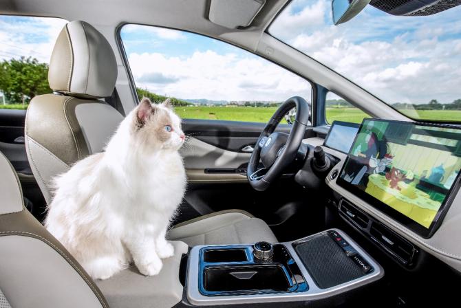 011703527cca13e8789635.jpg image006.jpg