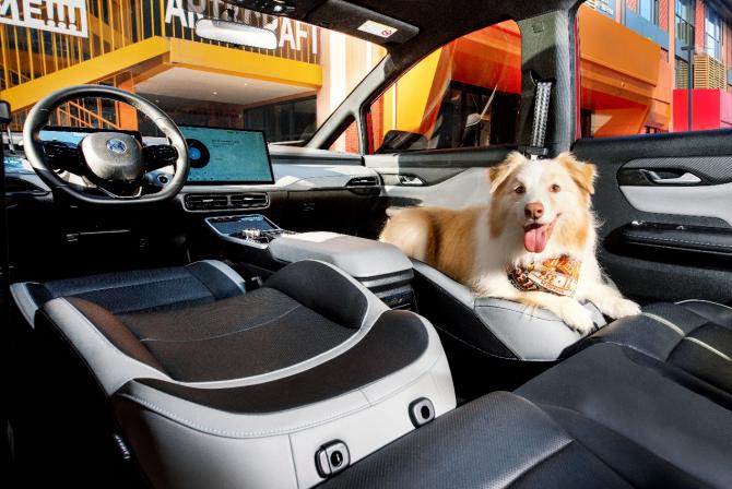 0117035603c2f5a3415831.jpg image005.jpg