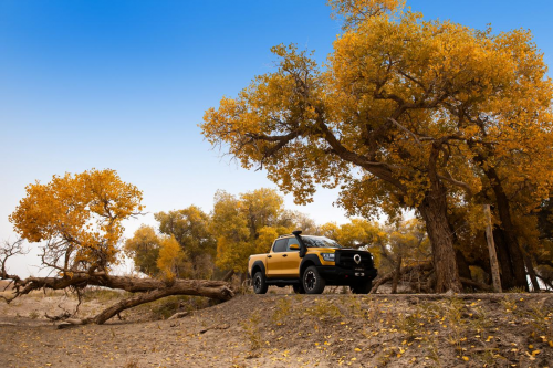 13144334f34dc59cd49022.png image003.png