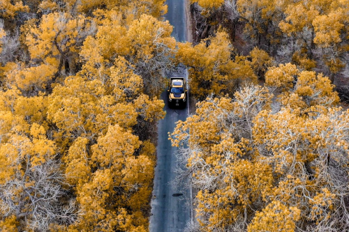 131443461ea4eca10a5844.png image006.png