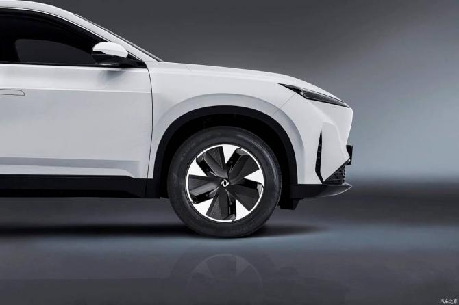 16084416155a991d282800.jpg image003.jpg