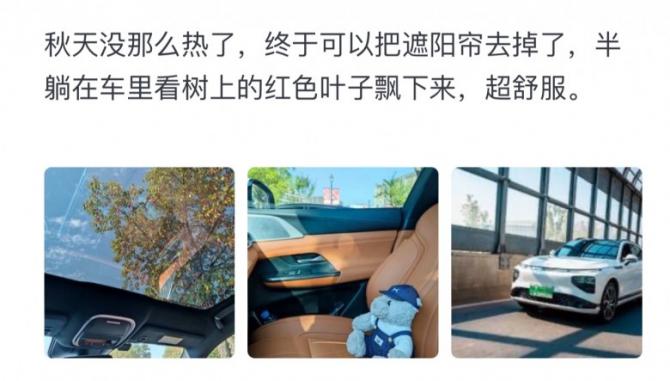 1698383815547110.jpg c66292547efcf3d3c9e86e41c5d7ddc6.jpg