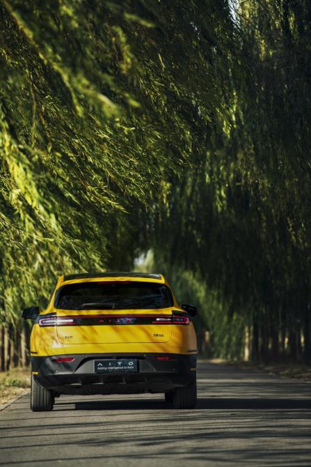 23151844ca56b8e89f0345.jpg image004.jpg