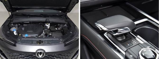 28190742838cd062c44411.jpg image006.jpg