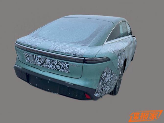 240903232351dd26f56307.jpg image006.jpg