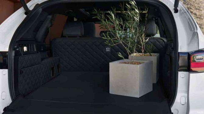 31084916a27e3a140b3414.jpg image017.jpg