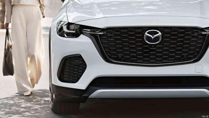 310849564e2ee79b5a5596.jpg image005.jpg