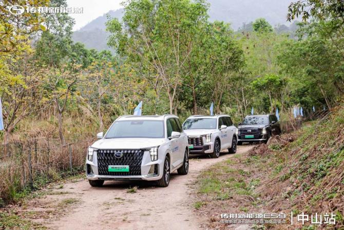 19164649c27277f5529675.jpg image005.jpg