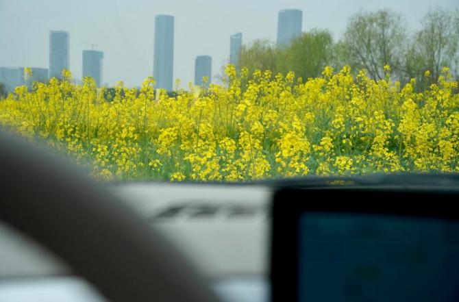 21145739ad83d8d7492519.jpg image002.jpg