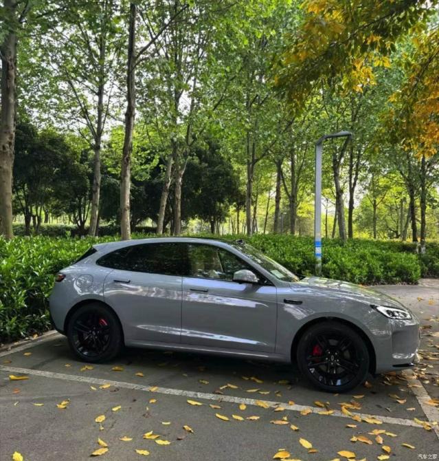 150828212843f327133468.jpg image003.jpg