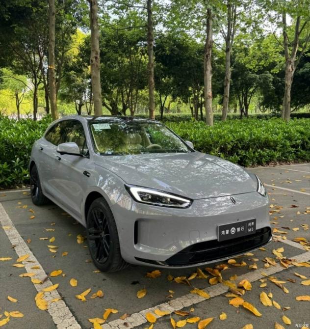 15082824be2068b5431248.jpg image002.jpg