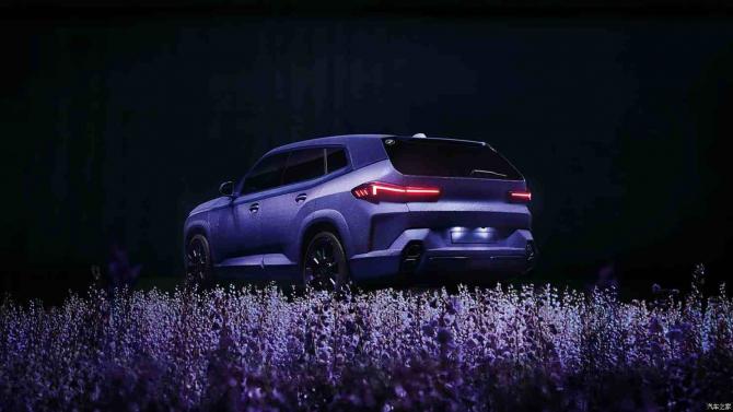 1708361598129239571758.jpg image006.jpg