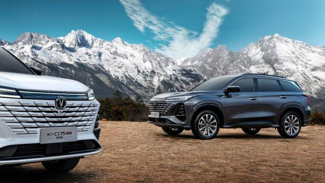 23175118578de80e525362.jpg image002.jpg