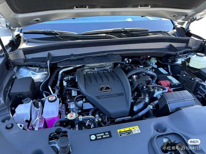 3023312919a4fb9eef4852.jpg image007.jpg