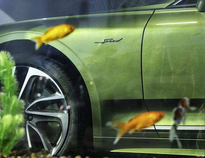 15081716e5112338711721.jpg image004.jpg