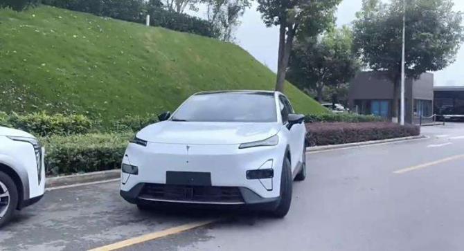 282348462a31f261925796.jpg image002.jpg