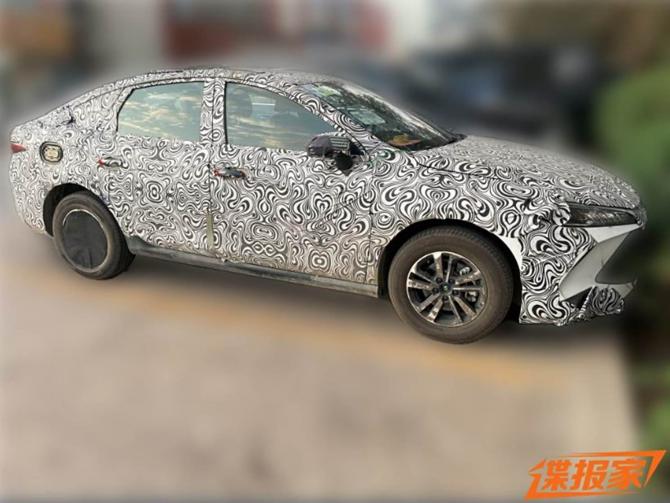 08224020f95589a5904023.jpg image004.jpg