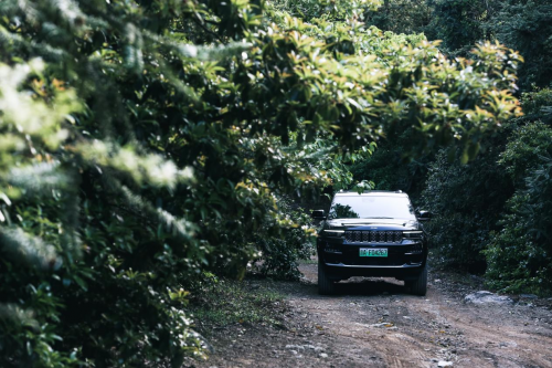 18102421a9c7d94dba7672.png image003.png