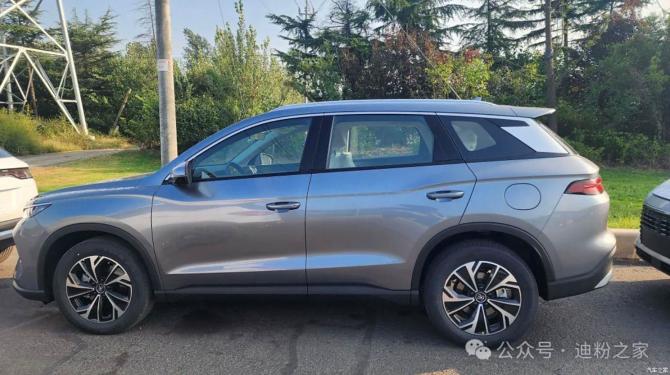 240817211d6f50af680494.jpg image002.jpg