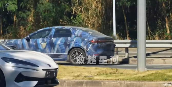 11082528aae81444a01233.jpg image006.jpg