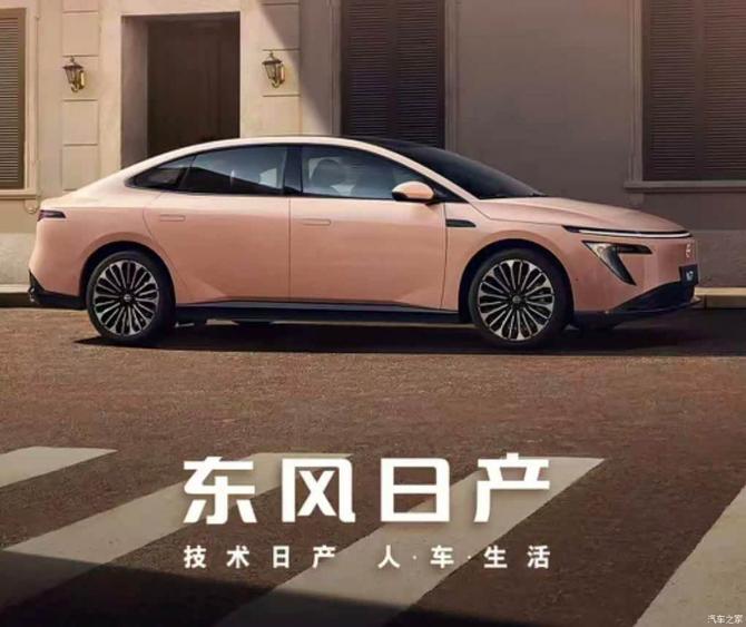 29121155c589e04b784072.jpg image002.jpg