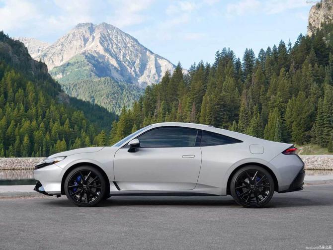 080840317ec8e605b76621.jpg image005.jpg