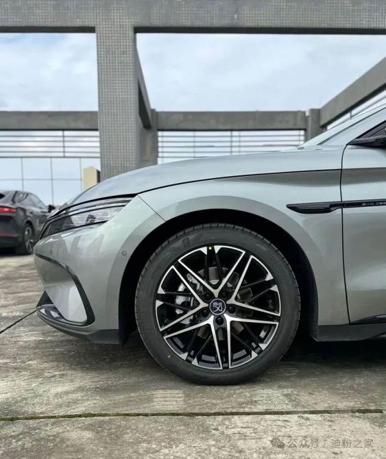 08224206ee72b3c9b26139.jpg image003.jpg