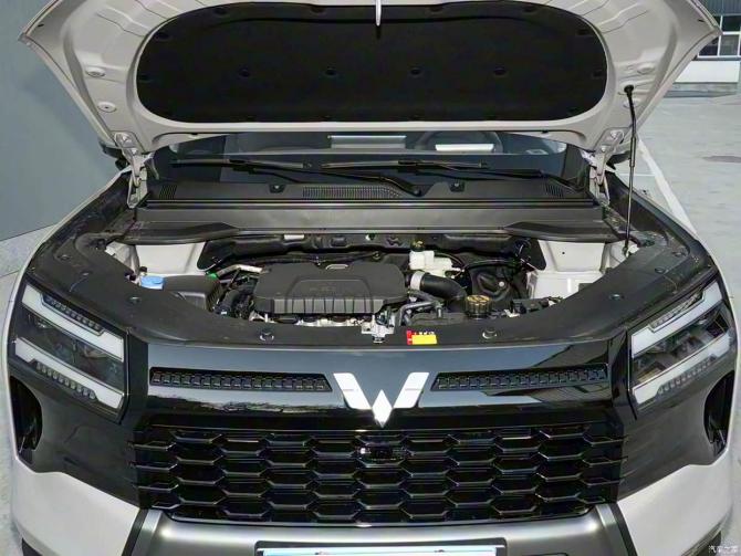 10082046e2af4541320586.jpg image010.jpg